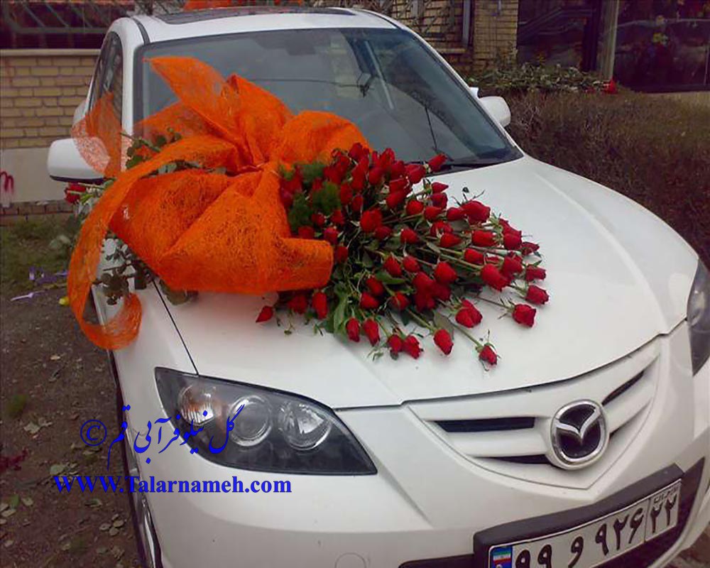 گل نیلوفر آبی قم