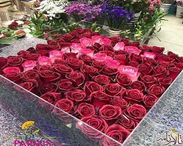 گلفروشی پارمیس شیراز